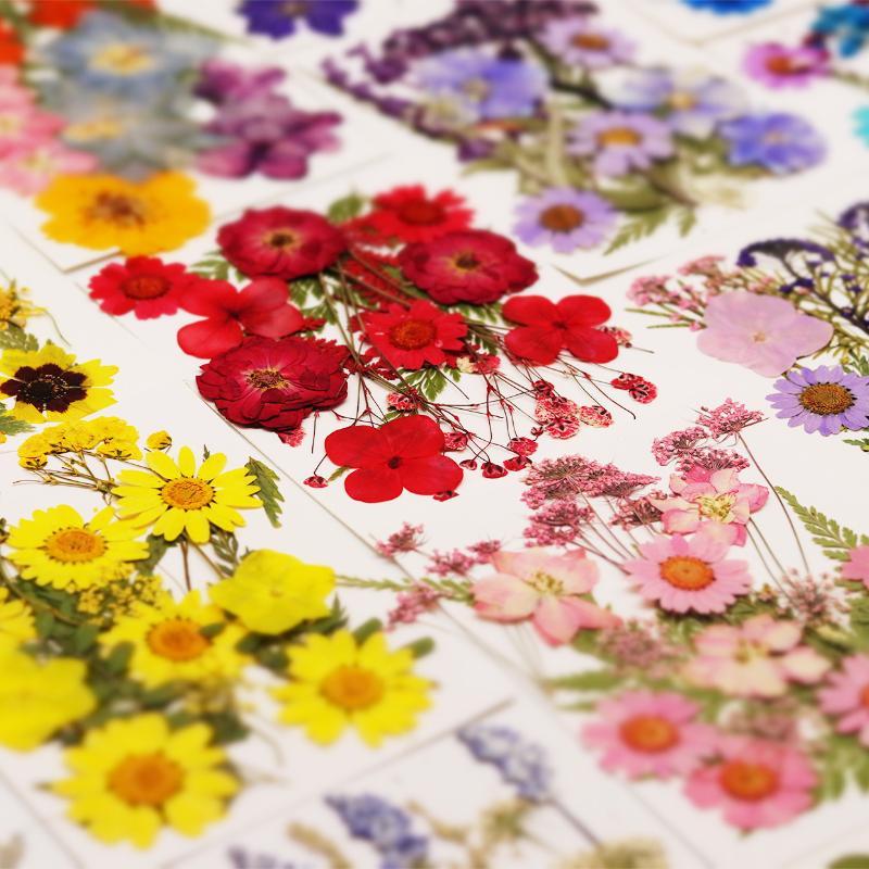 Resin Craft Ideas - Vraies fleurs de plantes séchées et
