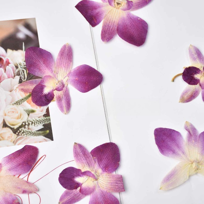 4 pièces, véritables fleurs d' - Resin Craft Ideas avis et prix