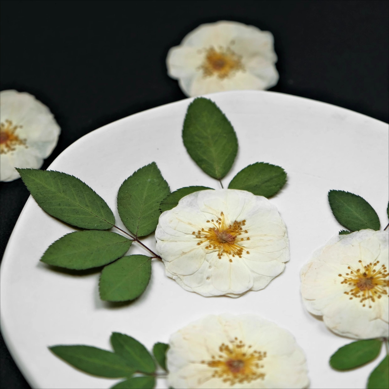 Fleurs pressées de roses blanc - Resin Craft Ideas avis et prix