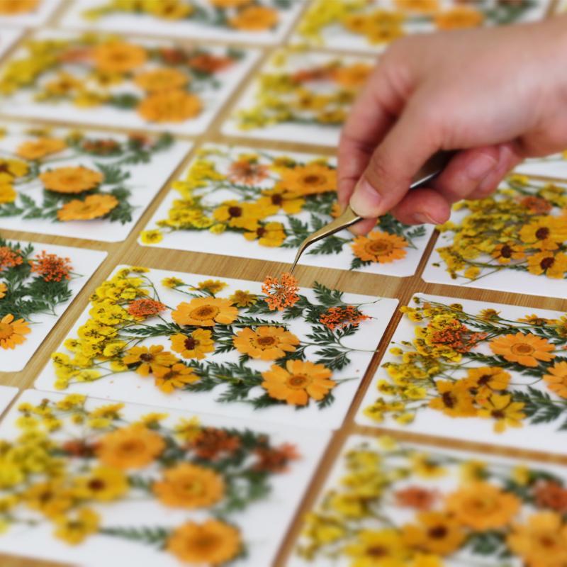 Vraies fleurs de plantes séché - Resin Craft Ideas avis et prix