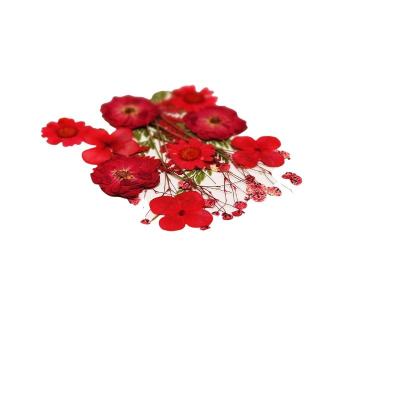 Vraies fleurs de plantes séché - Resin Craft Ideas avis et prix