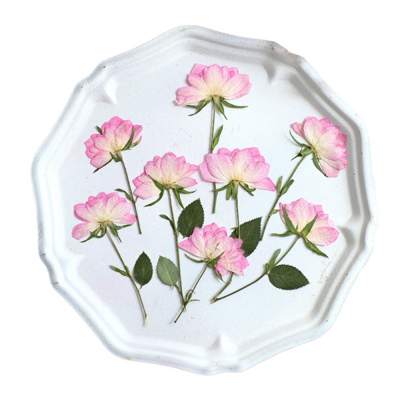 12 pièces, fleurs séchées pres - Resin Craft Ideas avis et prix